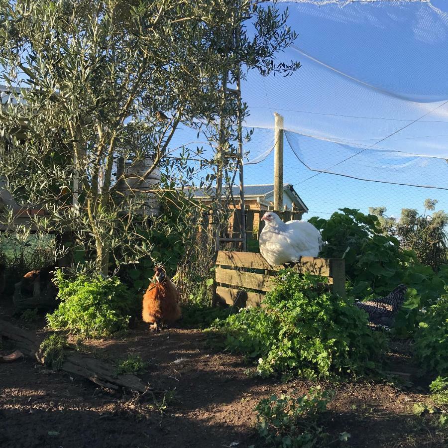 דירות Langleys Port Campbell Hobby Farm מראה חיצוני תמונה